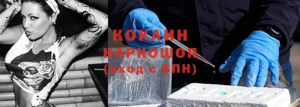 гашиш Богданович