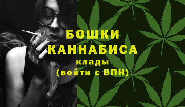 гашиш Богданович