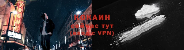 шишки Богородск