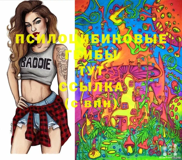 гашиш Богданович