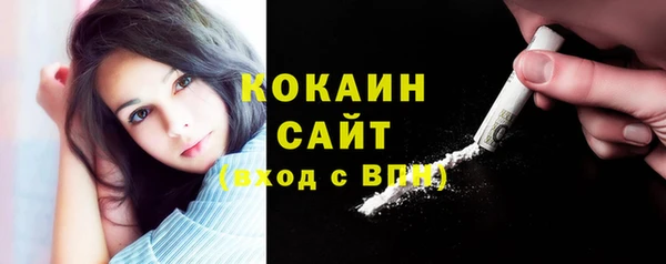 шишки Богородск