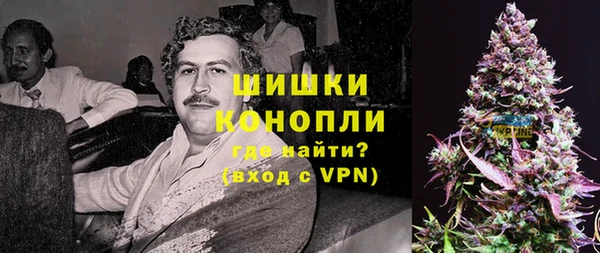 гашиш Богданович