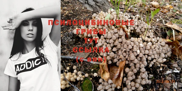 гашиш Богданович