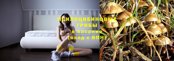 шишки Богородск