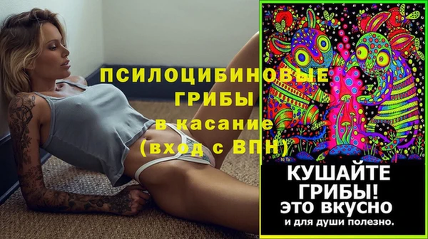 шишки Богородск
