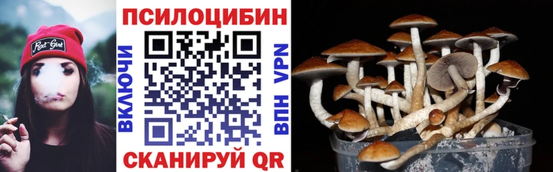 Купить закладки  Пыть-Ях  Галлюциногенные грибы MAGIC MUSHROOMS 